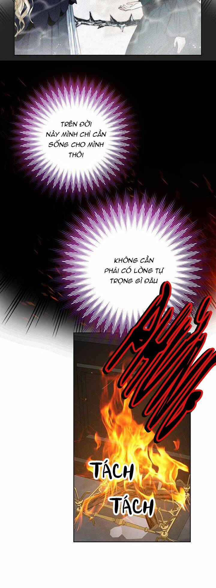 Cuộc Hôn Nhân Hoàng Gia - Chương 12