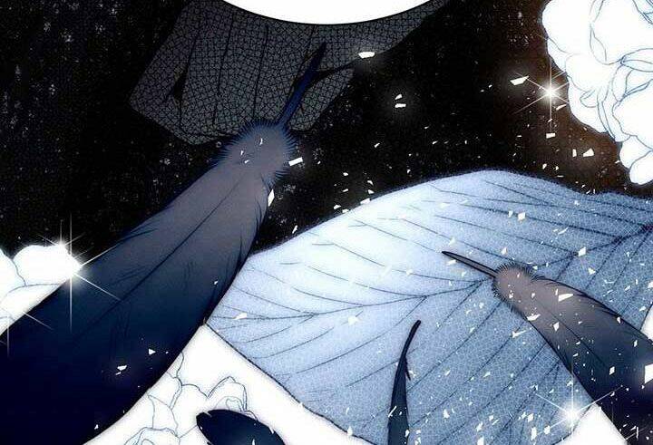 Cuộc Hôn Nhân Hoàng Gia - Chương 13