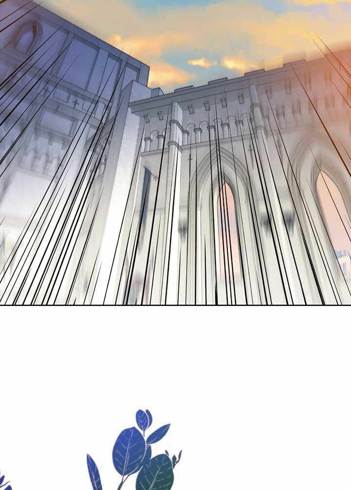 Cuộc Hôn Nhân Hoàng Gia - Chương 17