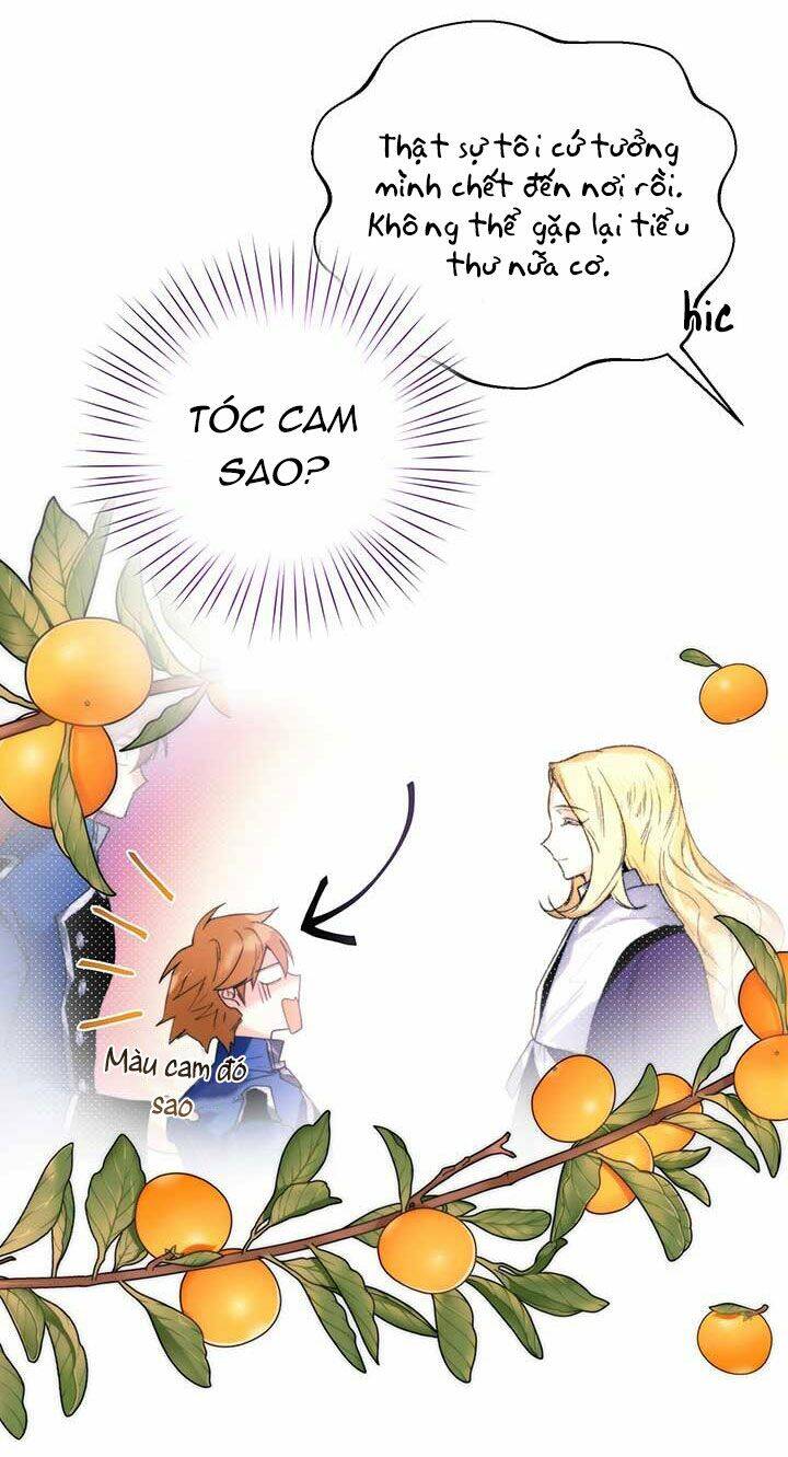 Cuộc Hôn Nhân Hoàng Gia - Chương 17