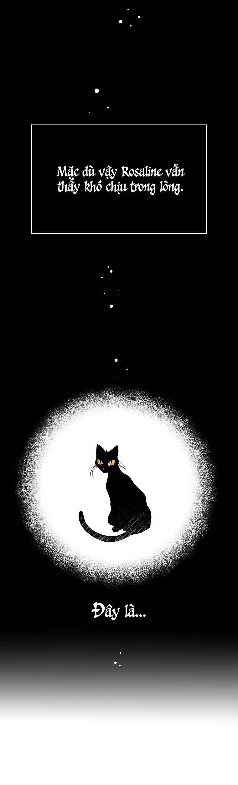 Thú Cưng Của Nữ Đại Công Tước - Chương 12