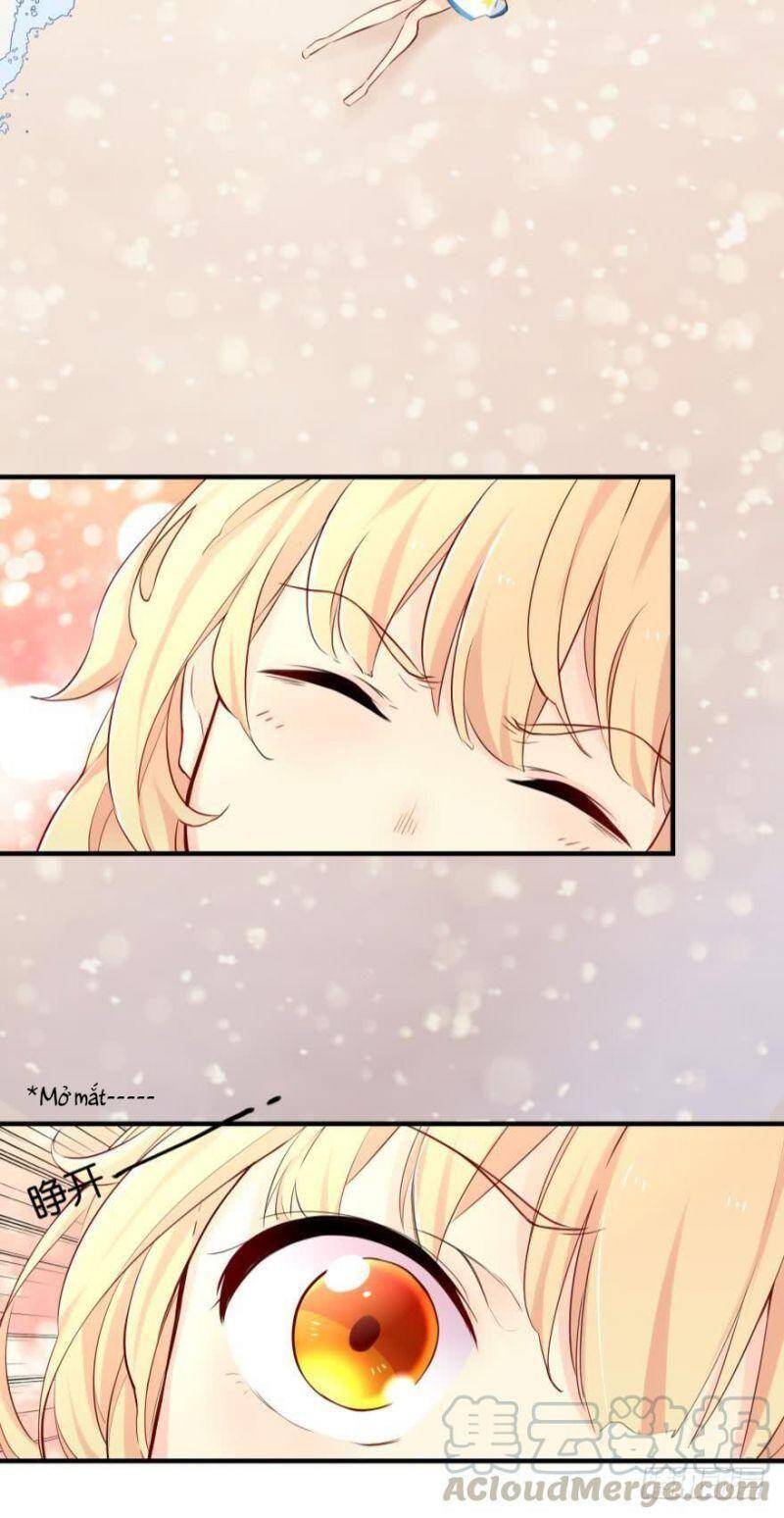 Nhân Ngư Học Trưởng, Đừng Ôm Ta! - Chương 1