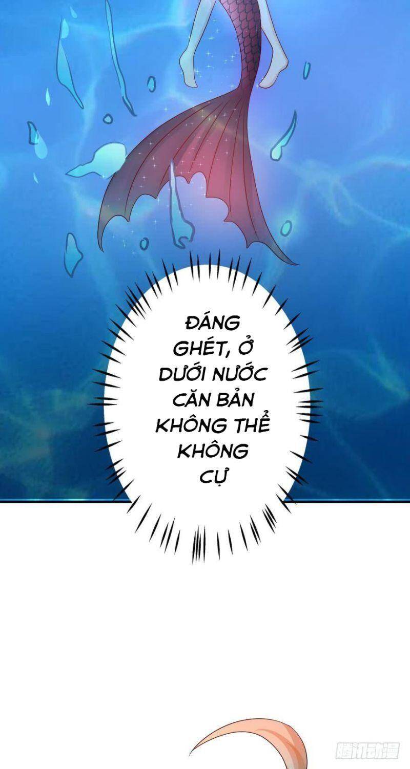 Nhân Ngư Học Trưởng, Đừng Ôm Ta! - Chương 60
