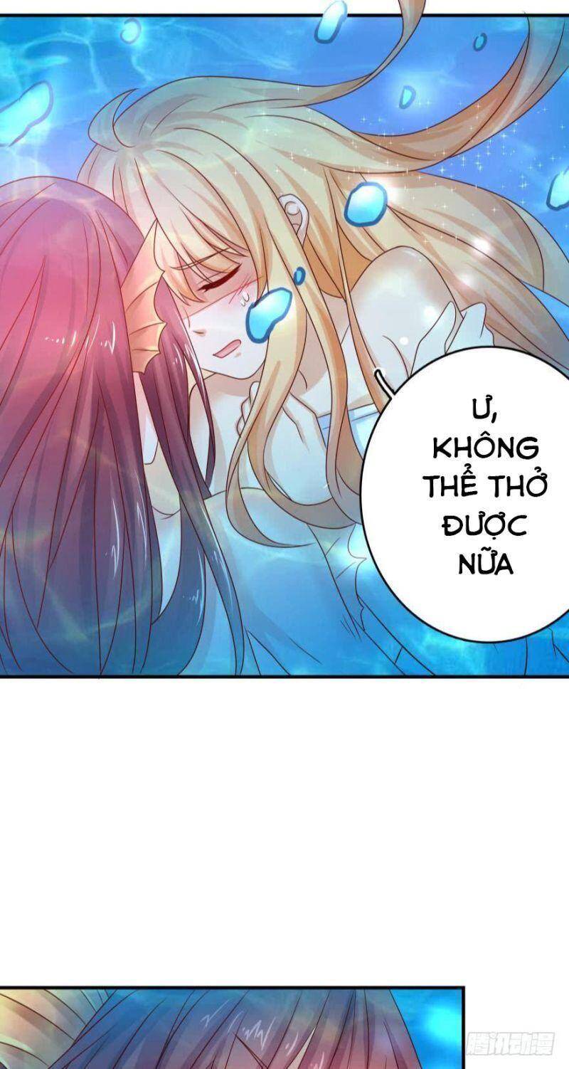 Nhân Ngư Học Trưởng, Đừng Ôm Ta! - Chương 60