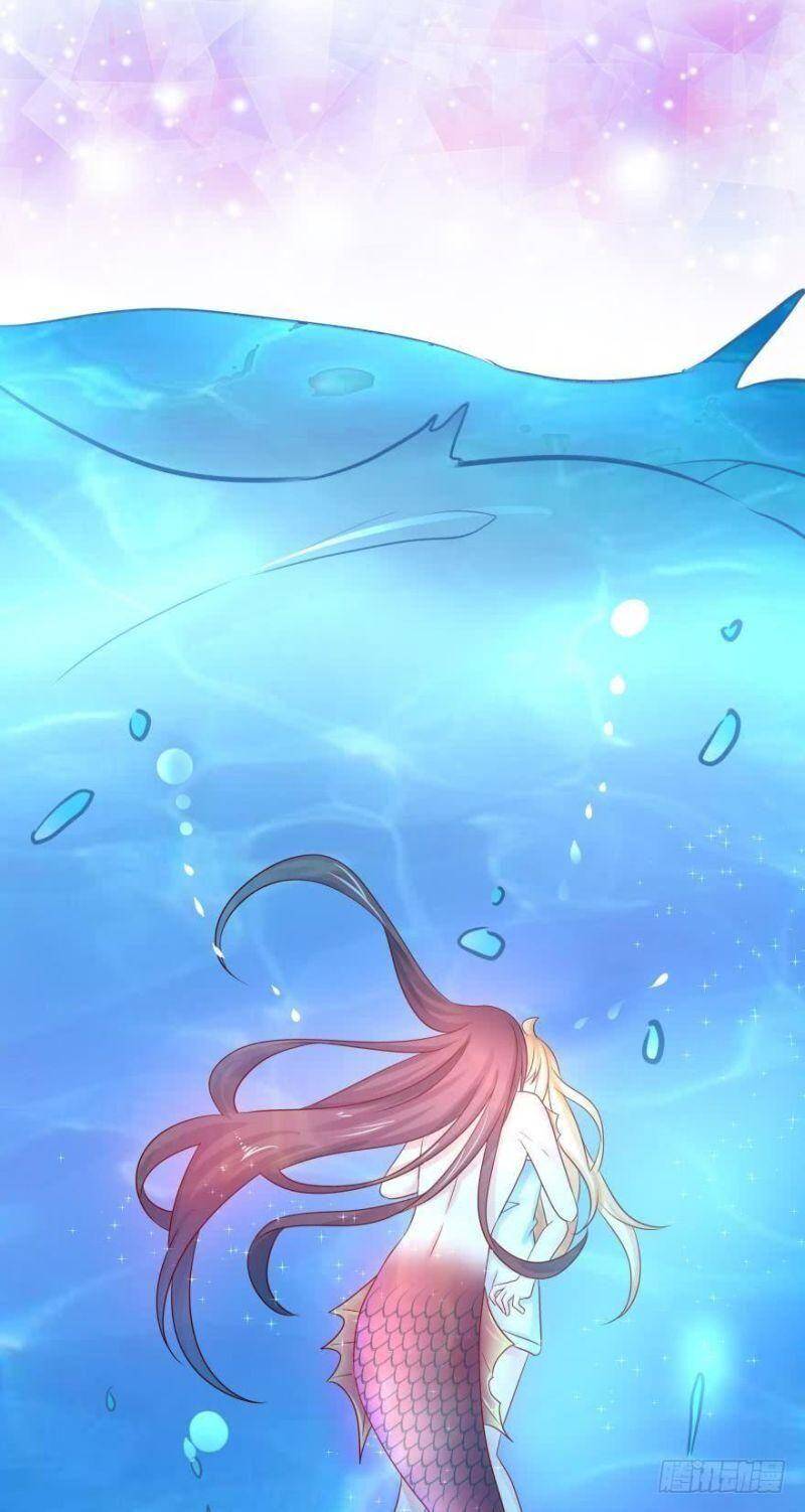 Nhân Ngư Học Trưởng, Đừng Ôm Ta! - Chương 60