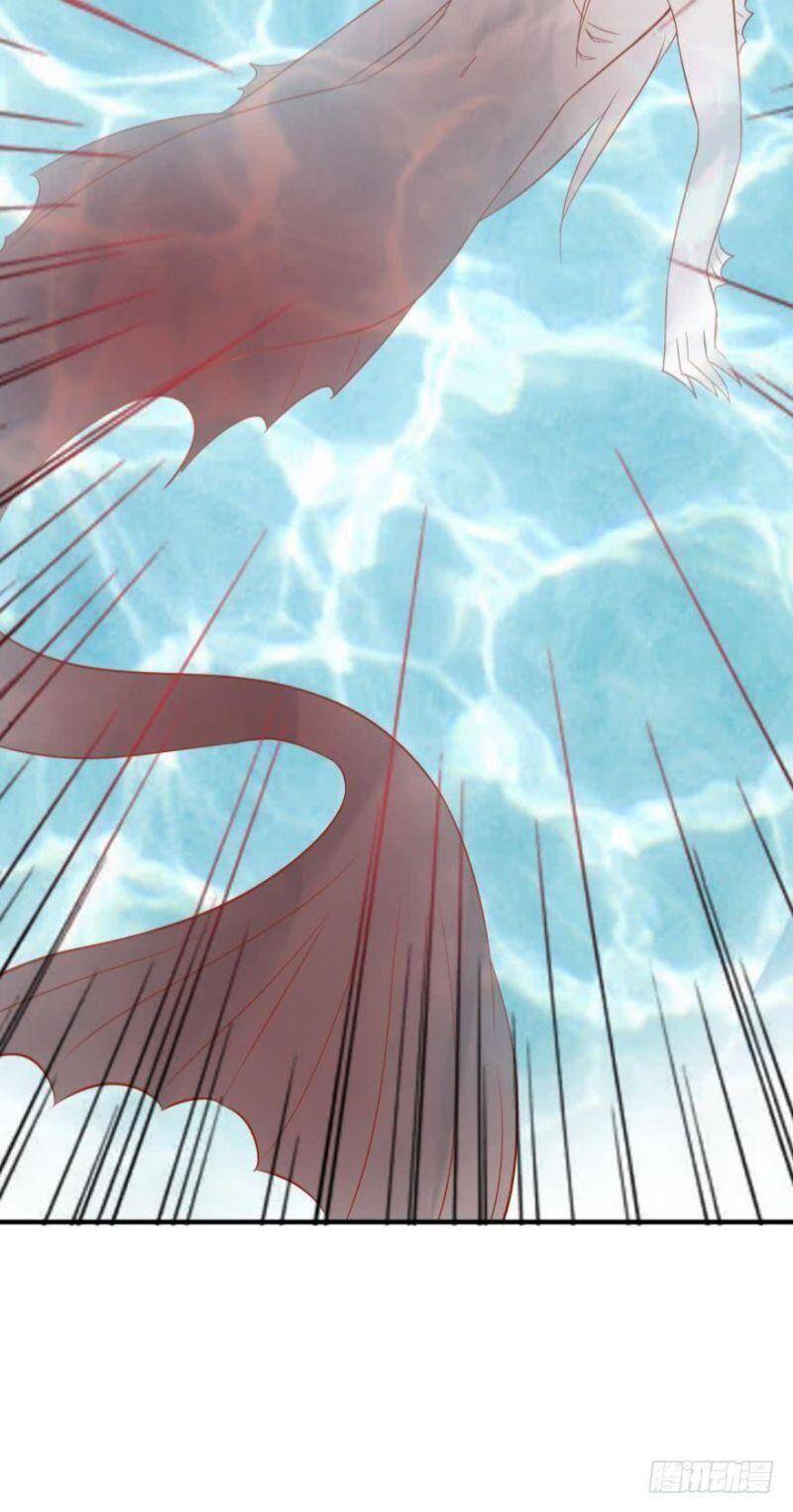 Nhân Ngư Học Trưởng, Đừng Ôm Ta! - Chương 61