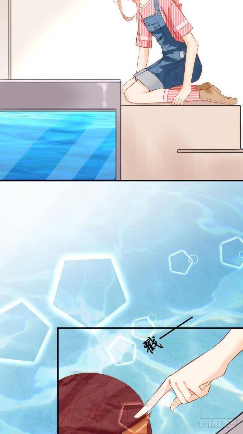 Nhân Ngư Học Trưởng, Đừng Ôm Ta! - Chương 61