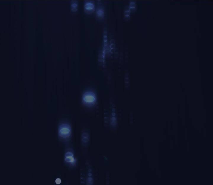 Ta Sẽ Nuôi Dạy Con Của Ngài Thật Tốt, Bệ Hạ! - Chương 47