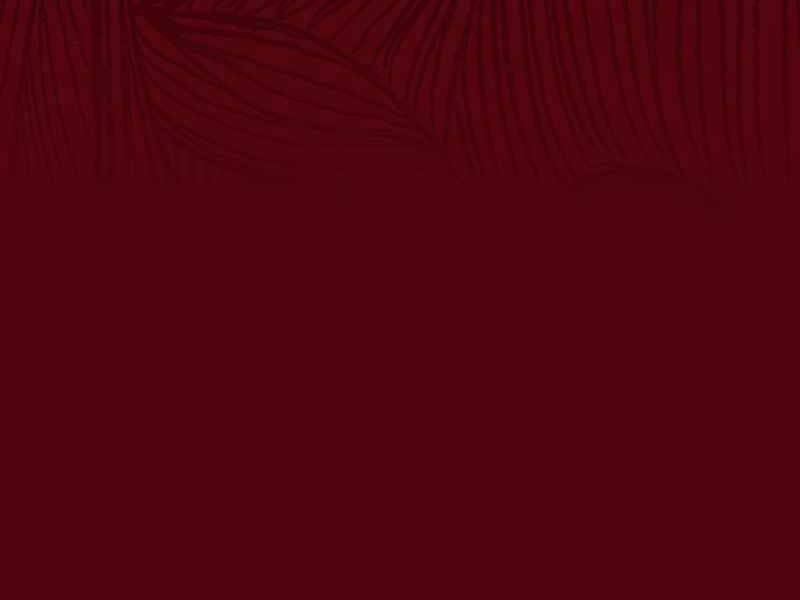 Học Viện Tối Thượng - Chương 4