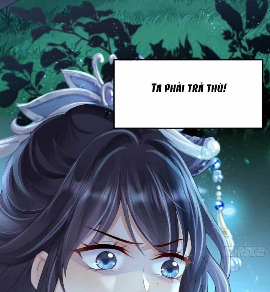 Sự Trả Thù Của Vương Phi - Chương 1