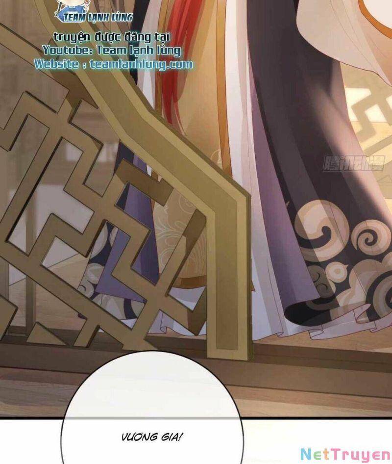 Sự Trả Thù Của Vương Phi - Chương 11