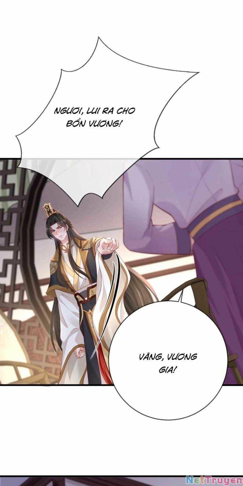 Sự Trả Thù Của Vương Phi - Chương 11