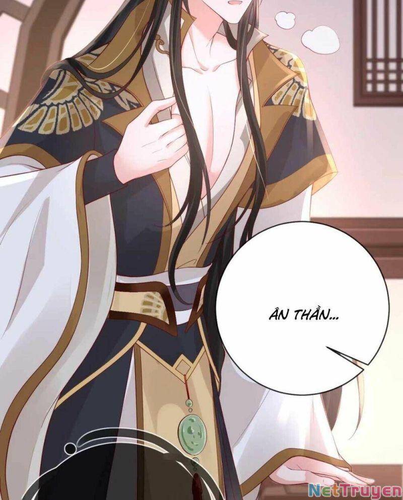 Sự Trả Thù Của Vương Phi - Chương 11