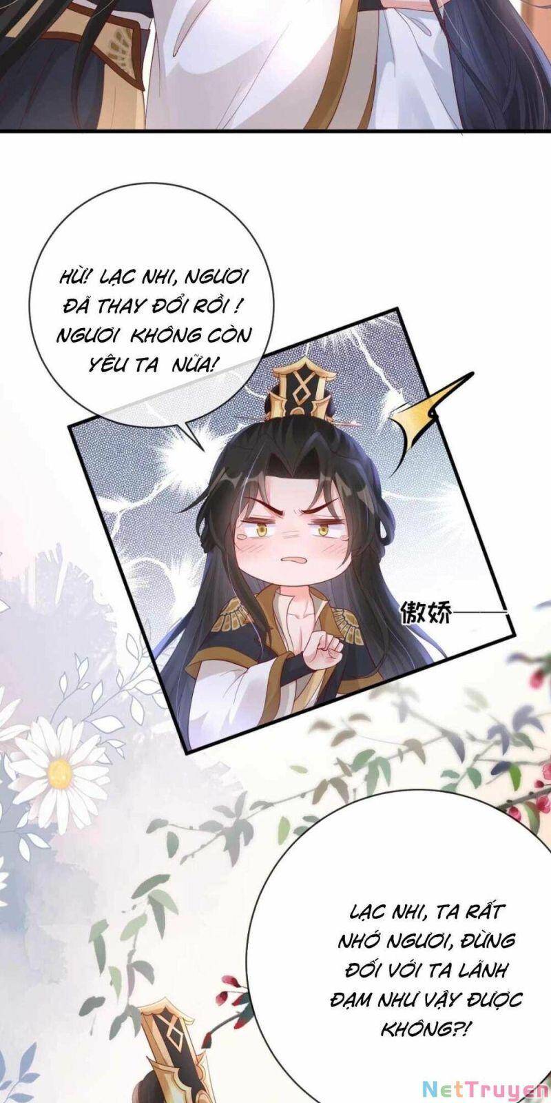 Sự Trả Thù Của Vương Phi - Chương 11