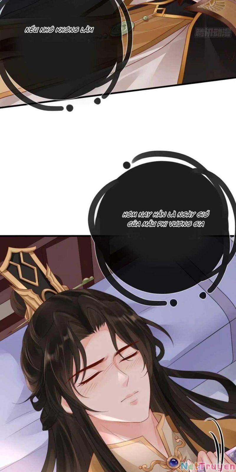 Sự Trả Thù Của Vương Phi - Chương 11