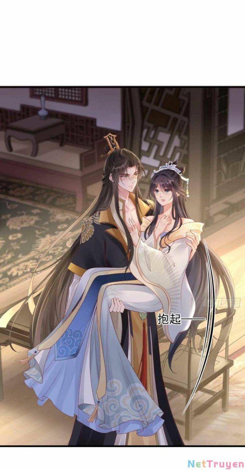 Sự Trả Thù Của Vương Phi - Chương 11