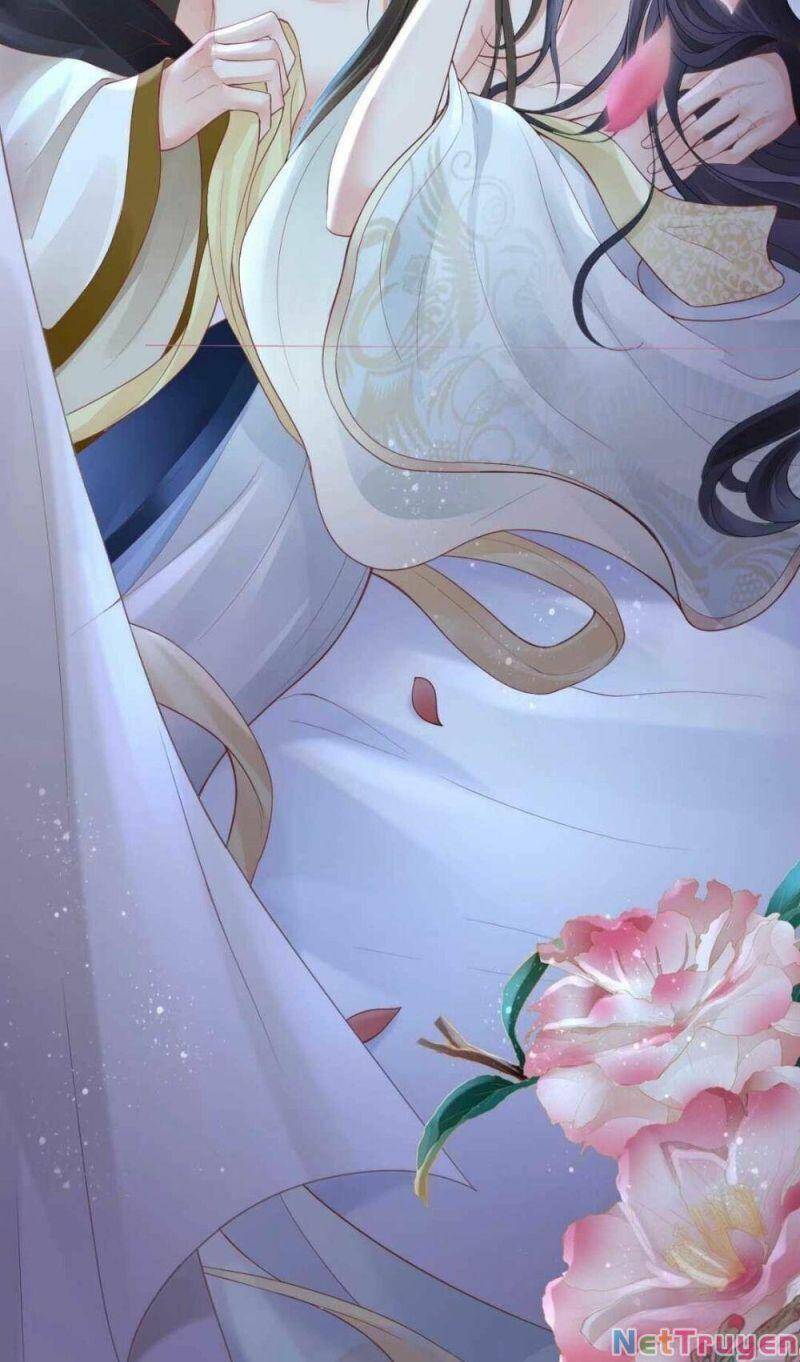 Sự Trả Thù Của Vương Phi - Chương 11