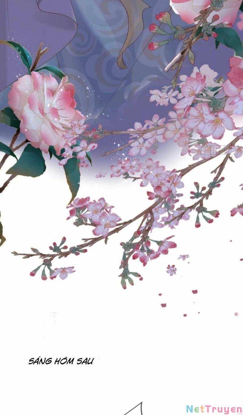 Sự Trả Thù Của Vương Phi - Chương 11