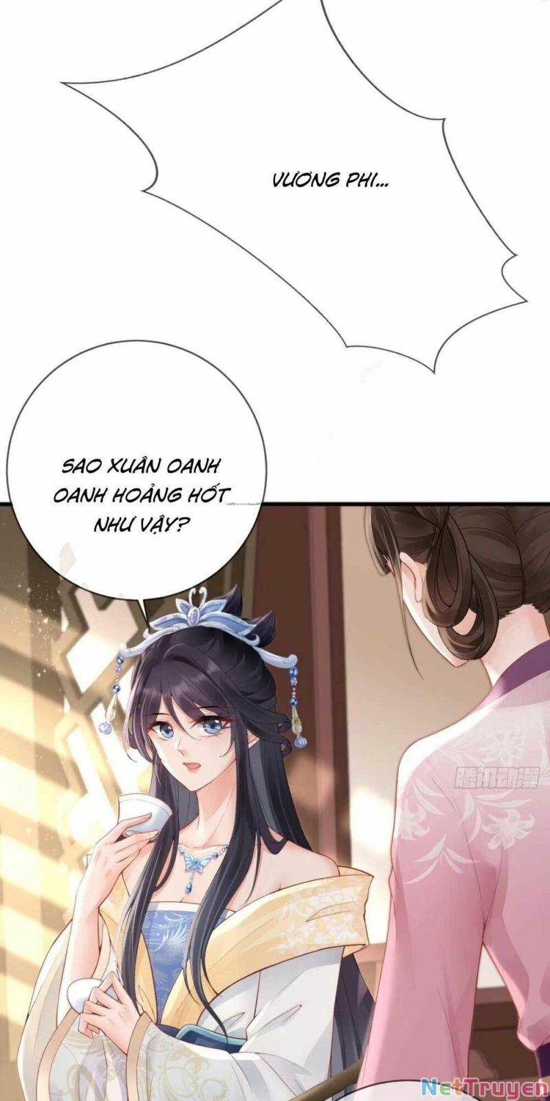 Sự Trả Thù Của Vương Phi - Chương 11