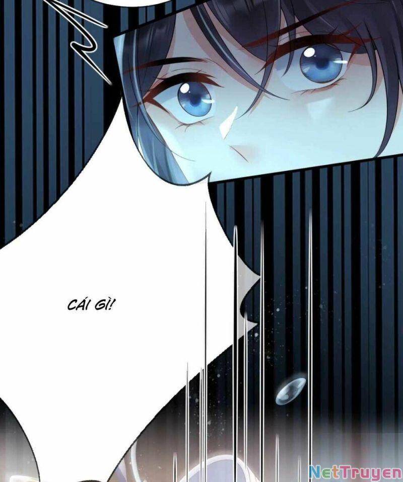 Sự Trả Thù Của Vương Phi - Chương 11