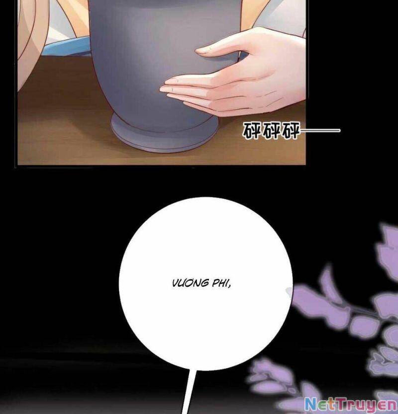 Sự Trả Thù Của Vương Phi - Chương 11
