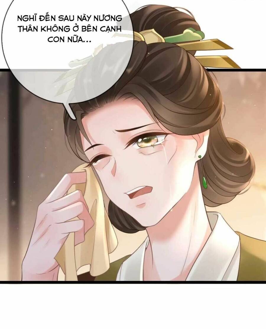 Sự Trả Thù Của Vương Phi - Chương 14