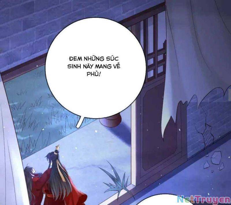 Sự Trả Thù Của Vương Phi - Chương 19