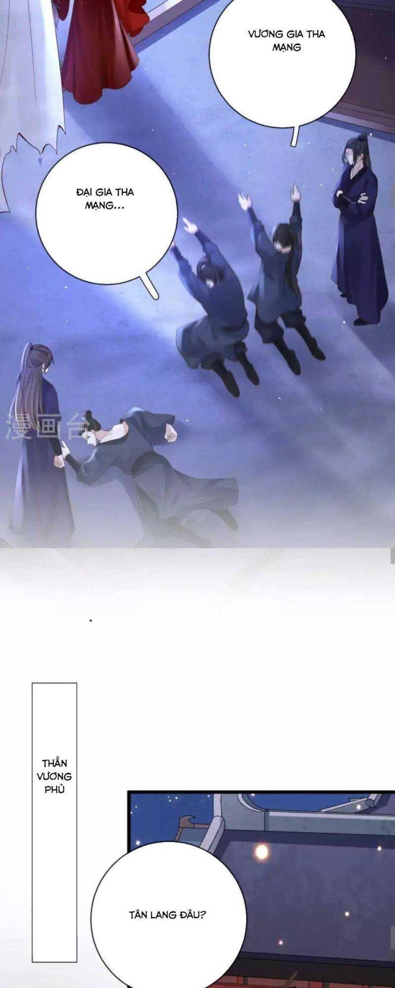 Sự Trả Thù Của Vương Phi - Chương 19