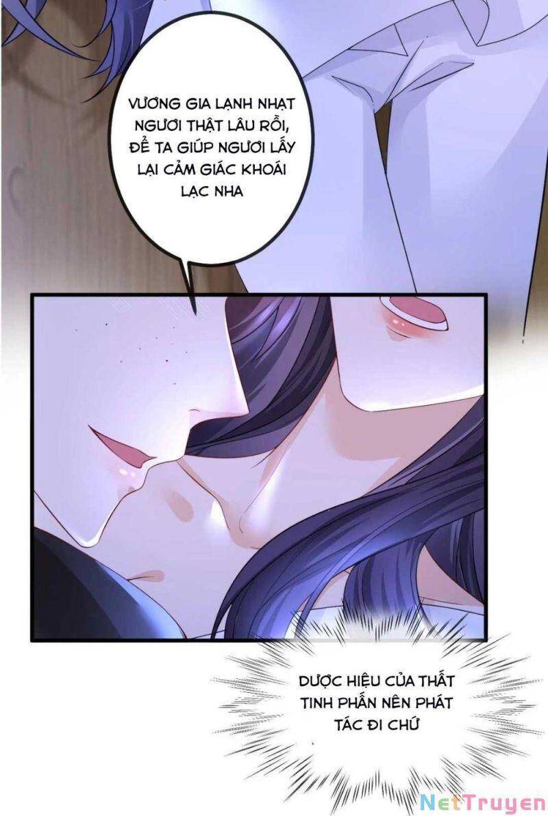 Sự Trả Thù Của Vương Phi - Chương 2