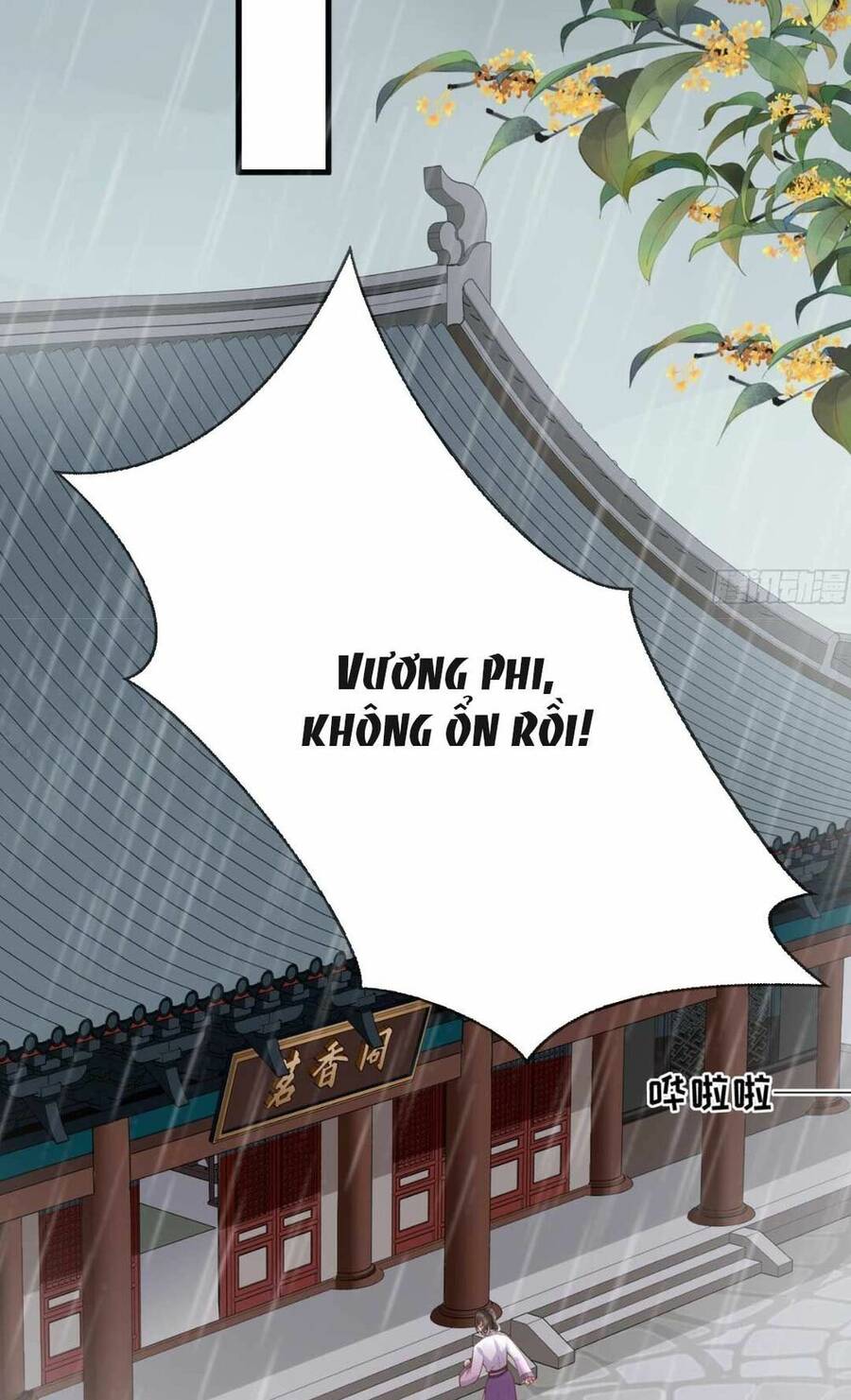 Sự Trả Thù Của Vương Phi - Chương 21