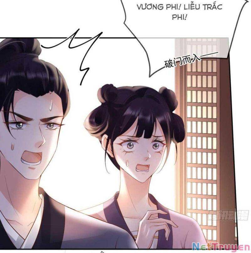 Sự Trả Thù Của Vương Phi - Chương 25