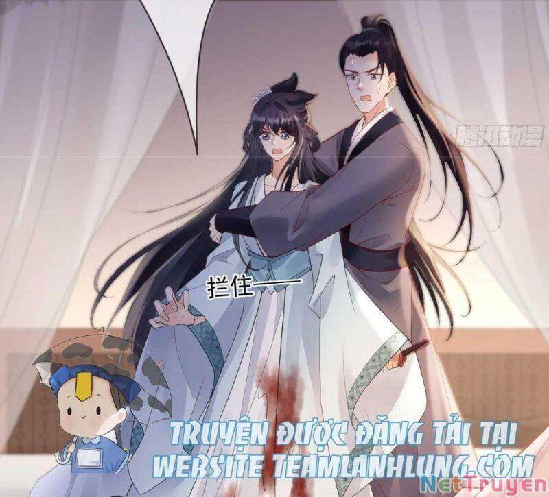 Sự Trả Thù Của Vương Phi - Chương 25