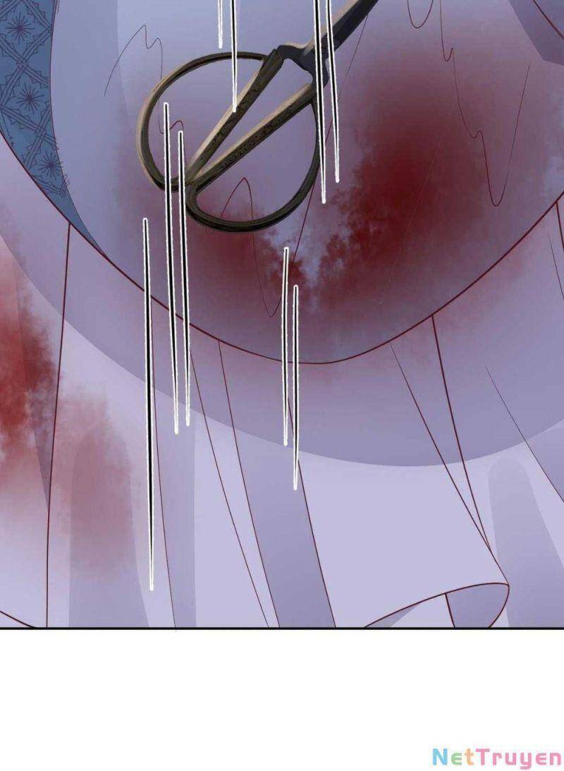 Sự Trả Thù Của Vương Phi - Chương 25