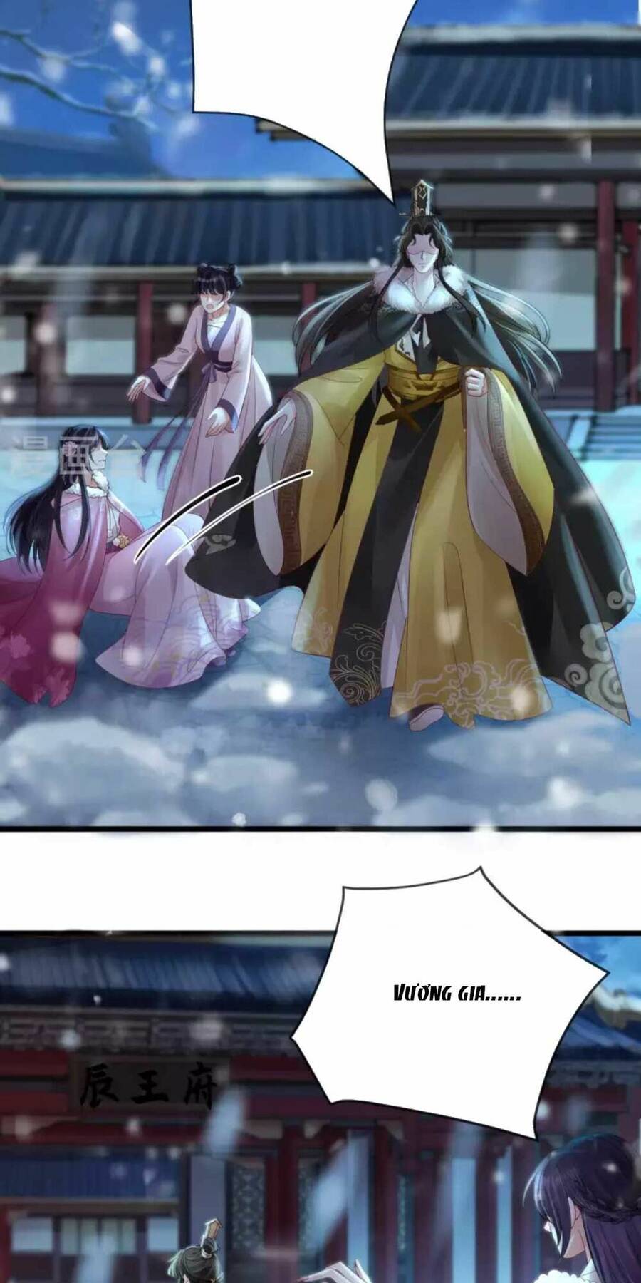 Sự Trả Thù Của Vương Phi - Chương 27