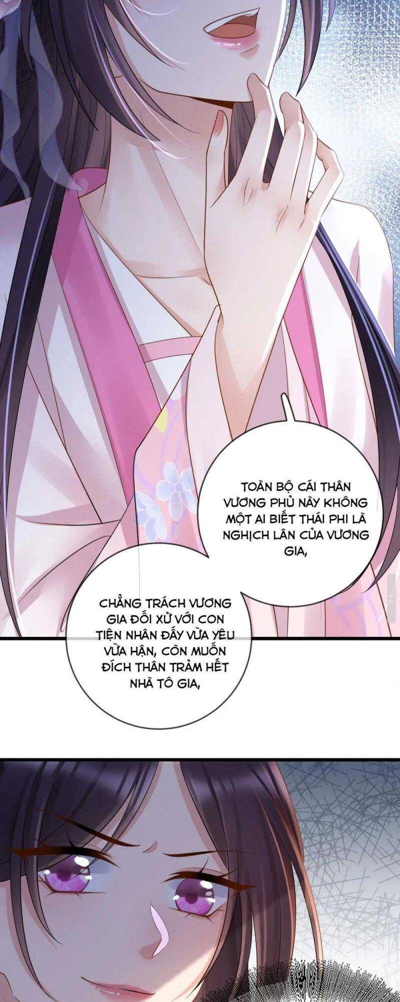 Sự Trả Thù Của Vương Phi - Chương 29