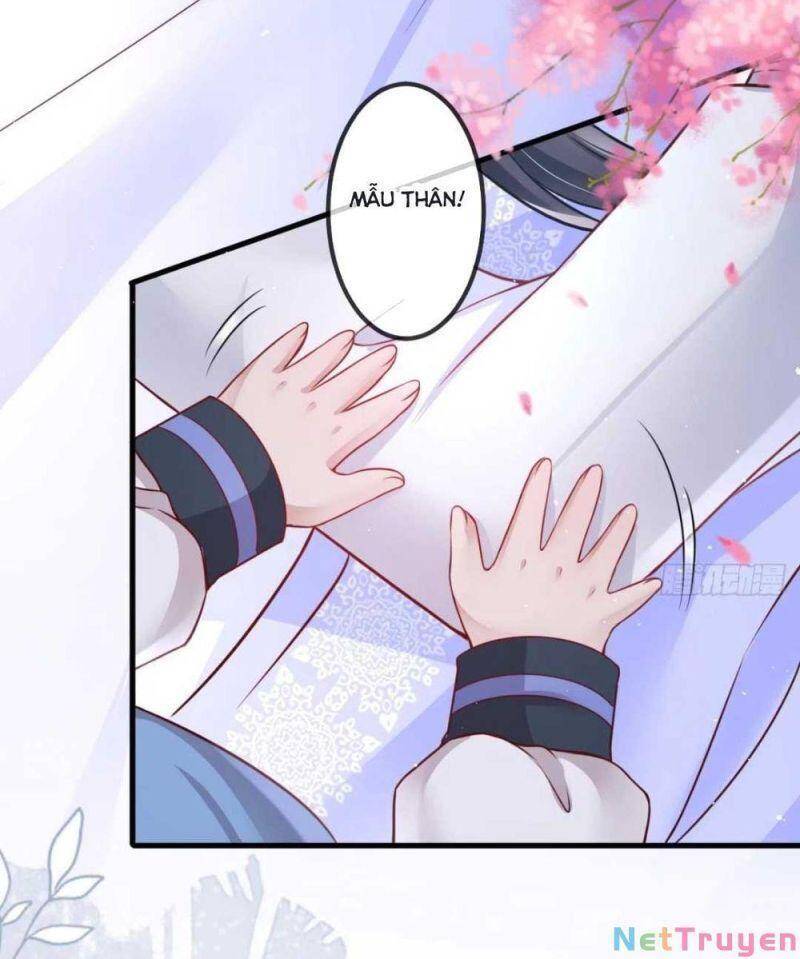 Sự Trả Thù Của Vương Phi - Chương 3