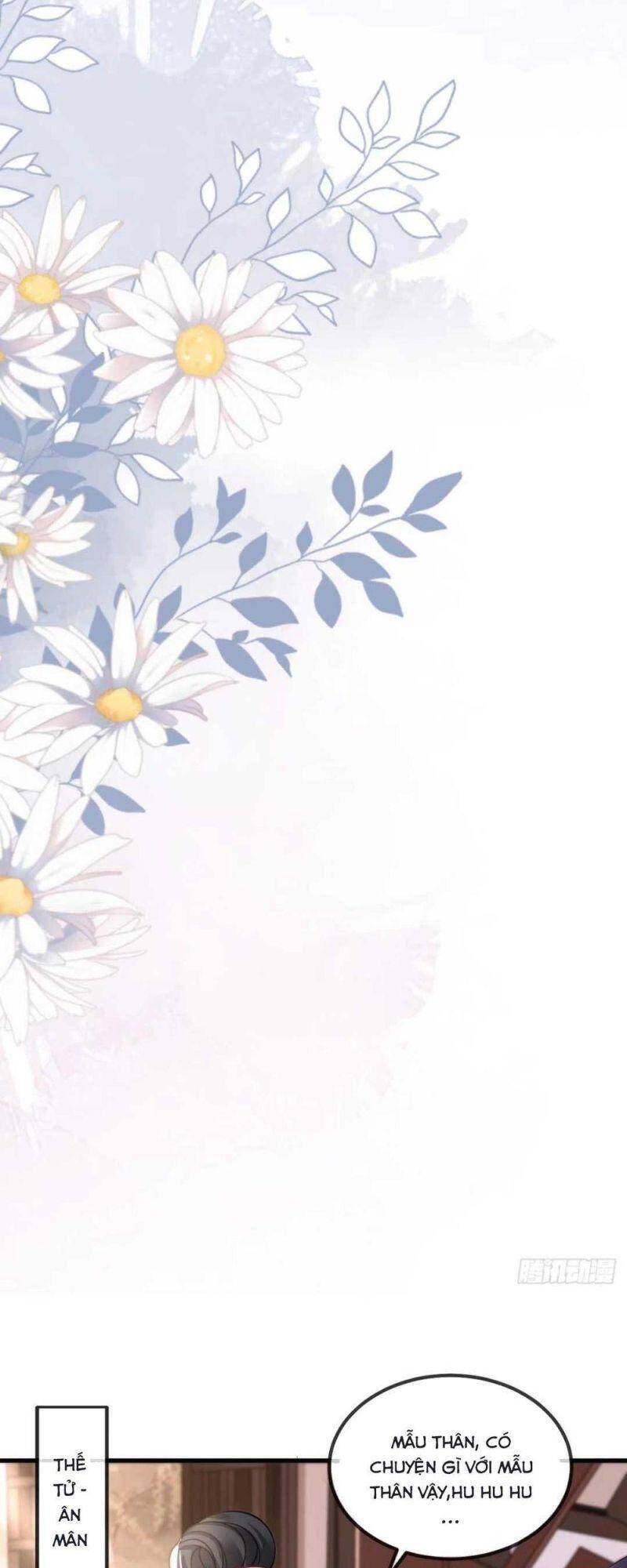 Sự Trả Thù Của Vương Phi - Chương 3