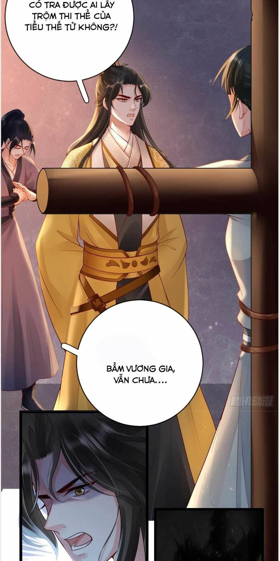 Sự Trả Thù Của Vương Phi - Chương 30