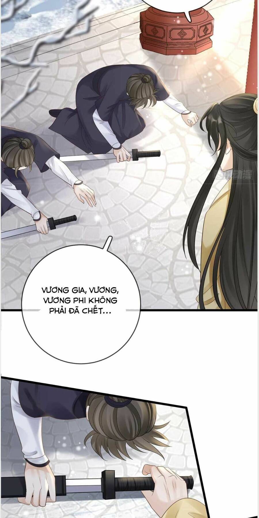 Sự Trả Thù Của Vương Phi - Chương 30
