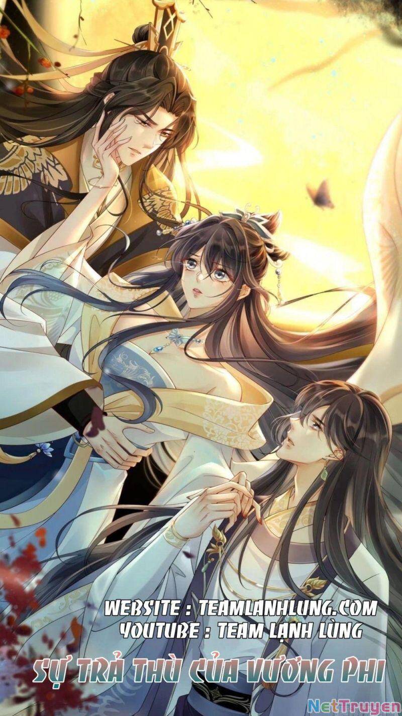 Sự Trả Thù Của Vương Phi - Chương 6