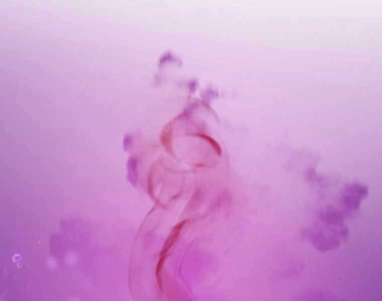 Hầm Ngục Toà Tháp Đảo Ngược - Chương 6