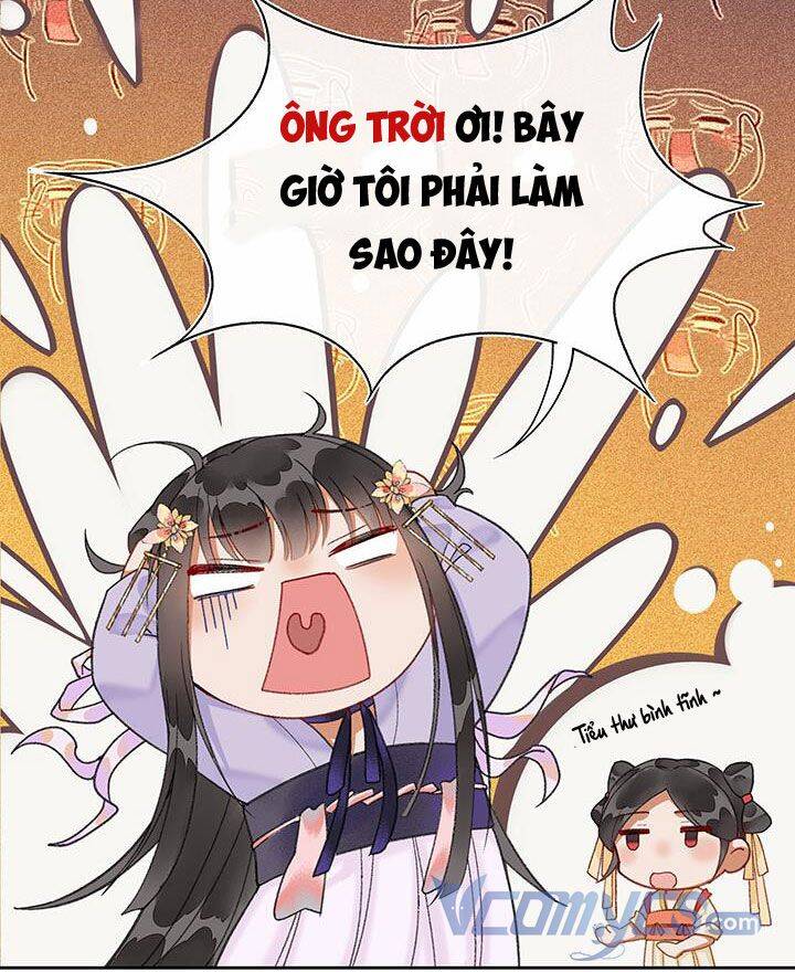 Phu Quân, Làm Ơn Để Ta Yên! - Chương 11