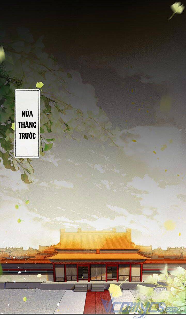 Phu Quân, Làm Ơn Để Ta Yên! - Chương 3