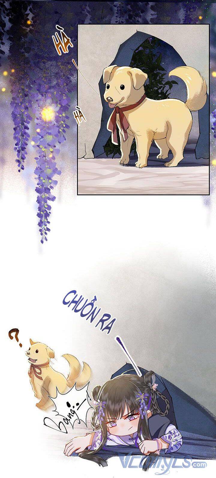 Phu Quân, Làm Ơn Để Ta Yên! - Chương 5