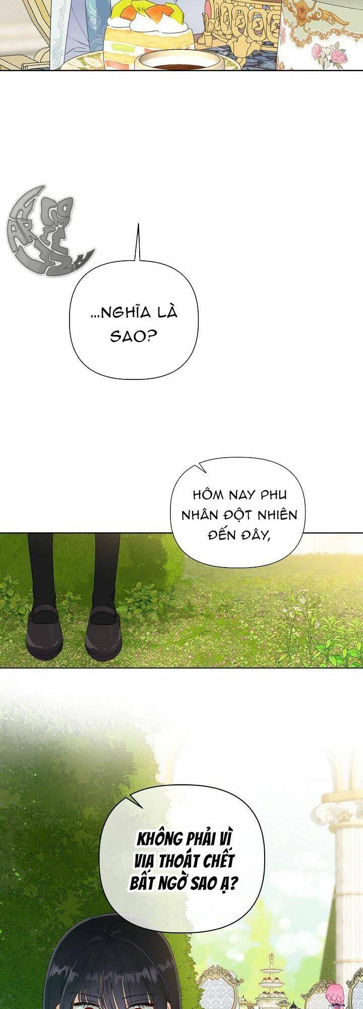 Sự Điều Trị Đặc Biệt Của Tinh Linh - Chương 20