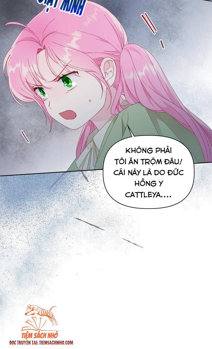 Sự Điều Trị Đặc Biệt Của Tinh Linh - Chương 23