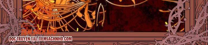 Sự Điều Trị Đặc Biệt Của Tinh Linh - Chương 26