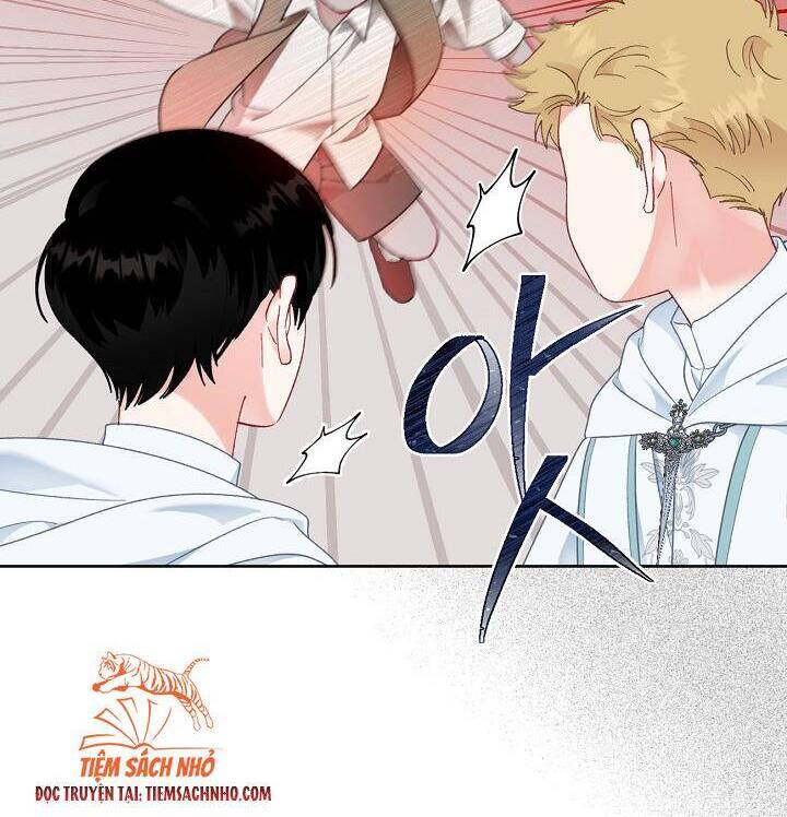 Sự Điều Trị Đặc Biệt Của Tinh Linh - Chương 26