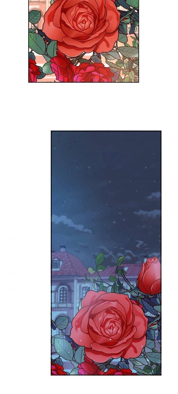 Sự Điều Trị Đặc Biệt Của Tinh Linh - Chương 6