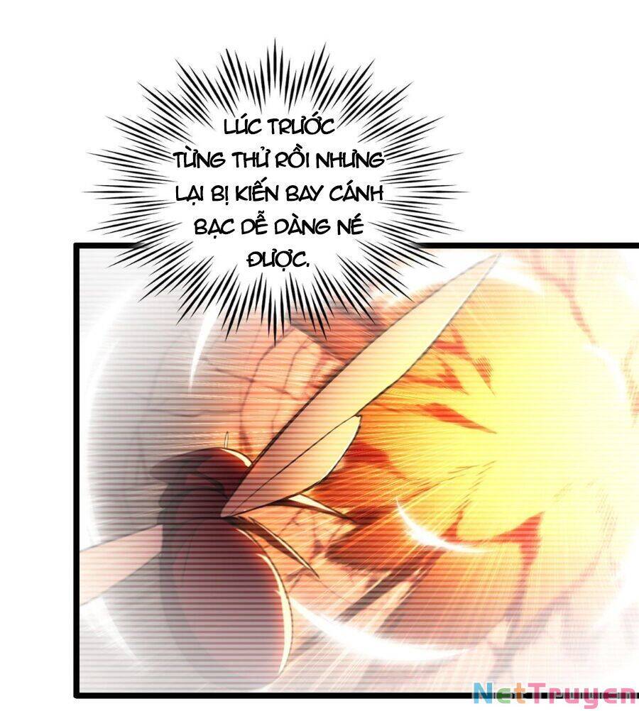 Ta Chỉ Muốn An Tĩnh Chơi Game - Chương 24